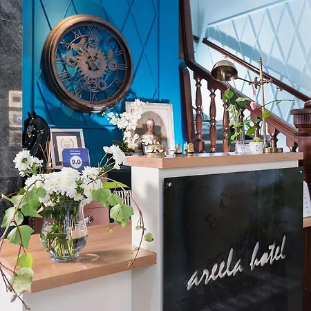 酒店 奥瑞拉精品酒店 3*