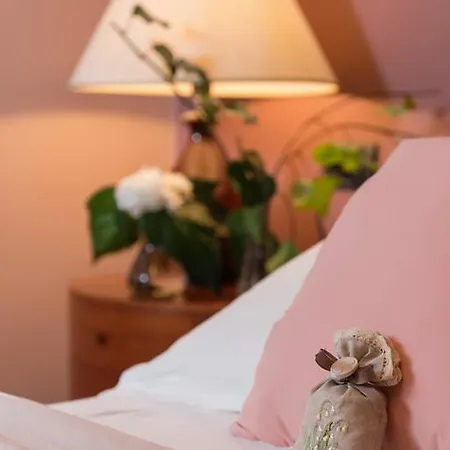 Areela Boutique Hotel 3*