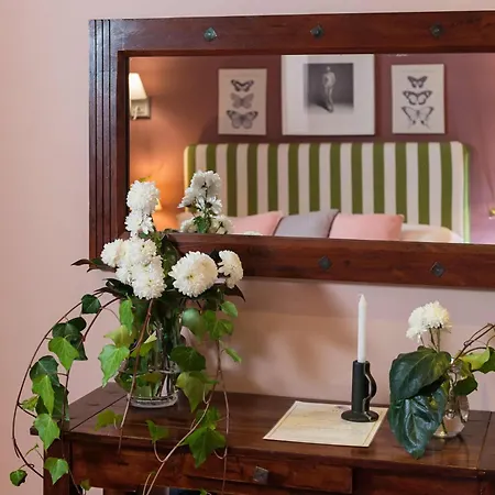 Areela Boutique 3*