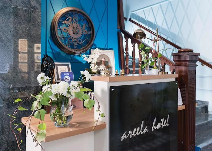 Hotel Areela Boutique 3*